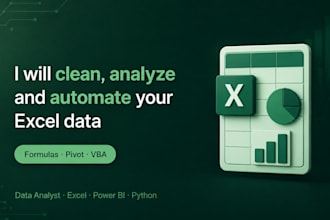 excel data cleaning and automation expert