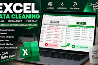 clean, format and organize excel data and spreadsheets