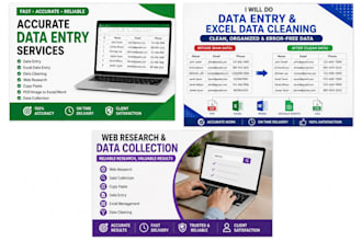 do excel data entry, data cleaning and formatting