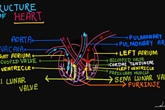 create handwritten digital biology notes