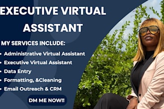 be your personal executive and administrative virtual assistant, task support