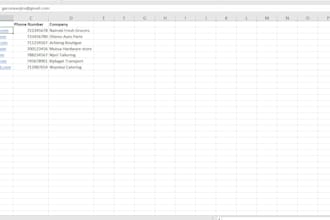 organize your data and manage your emails accurately