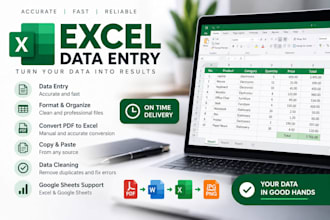 do excel data entry