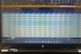 do bookkeeping, excel data and bank reconciliation