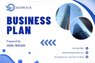 professional business plan for your startup