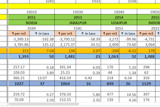 create professional excel mis reports and dashboards