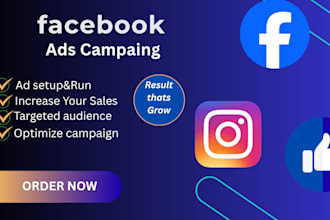 run facebook ads,meta ads and instagram paid ads campaign