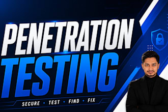 perform professional penetration testing and vulnerability assessment