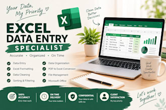do data entry, excel data cleaning and formatting
