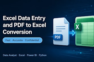excel data entry and PDF to excel conversion