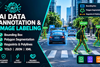 do accurate data entry,ai image annotation and data analysis