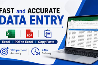 do fast and accurate excel data entry