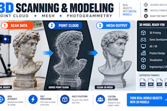develop 3d scanning, point cloud processing, mesh generation and photogrammetry