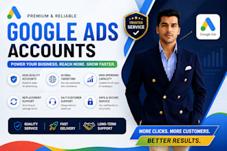 provide professional google ads setup and management services