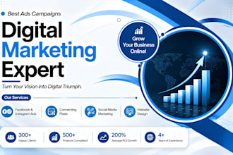manage professional facebook and instagram ad campaigns