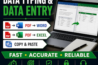 do data entry,copy paste,PDF to word and exel