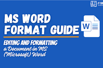 do professional ms word data entry and document formatting