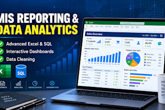 do professional mis reporting, advanced excel, and data entry work
