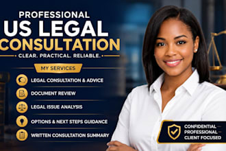 provide professional US legal consultation and advice