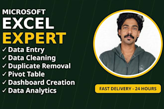 do excel data entry, vlookup and dashboard creation