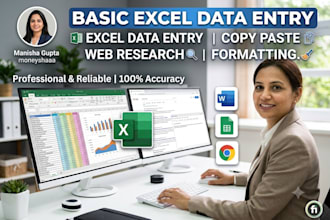 do your excel data entry copy paste web research, formatting
