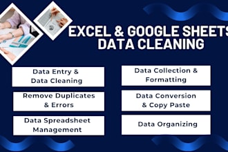do accurate data typing, data entry and data cleaning, web research