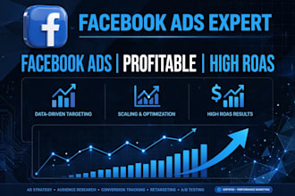 setup and manage profitable facebook ads campaign