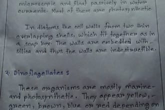 create a beautiful handwriting