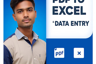 professional data cleaning or data entry data formatting pdf to word pdf to exce