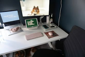 proofread your english essays, documents, and youtube scripts