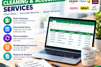 do excel data cleaning, reconciliation and bookkeeping