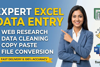 do expert excel data entry and web research