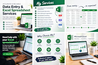 do accurate data entry and excel spreadsheet work