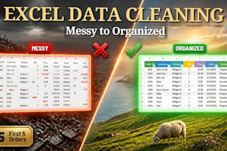 clean and organize your messy excel data