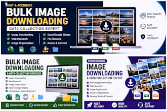 bulk download and organise images from websites