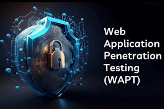perform web application vapt and security testing