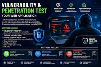 vulnerability and penetration test your web application