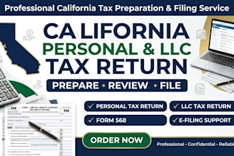 prepare and file california personal and llc business tax return
