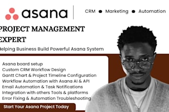 be your asana virtual assistant and build asana project board and dashboard