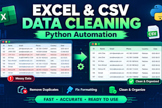 clean and format excel CSV data professionally