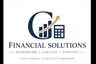 provide professional budgeting, forecasting, and financial analysis services