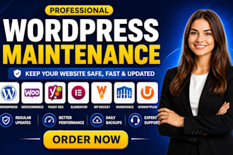 do ultimate monthly wordpress website SEO and maintenance, fix any error console