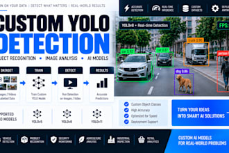 create custom yolo detection, object recognition, image analysis and ai solution