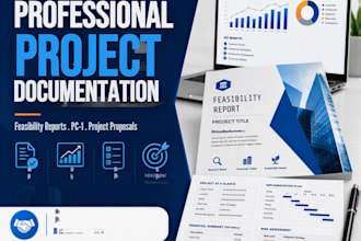 create professional feasibility reports and project documents