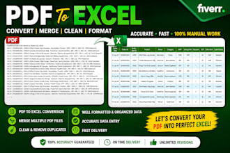 do convert PDF to excel with accurate data entry and merging