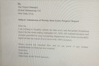 do professional microsoft word tying and data entry