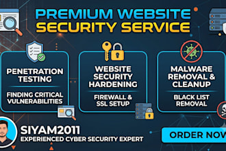 do website cybersecurity penetration testing and security audit