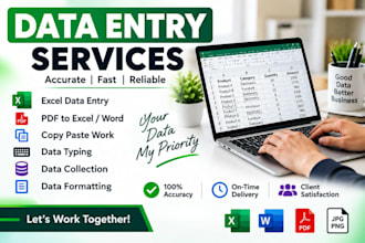 do accurate data entry, excel data entry,copy paste and PDF to excel