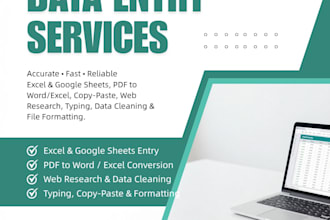 ido professional data entry, excel, and copy paste work
