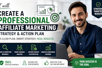 create a professional affiliate marketing strategy and action plan